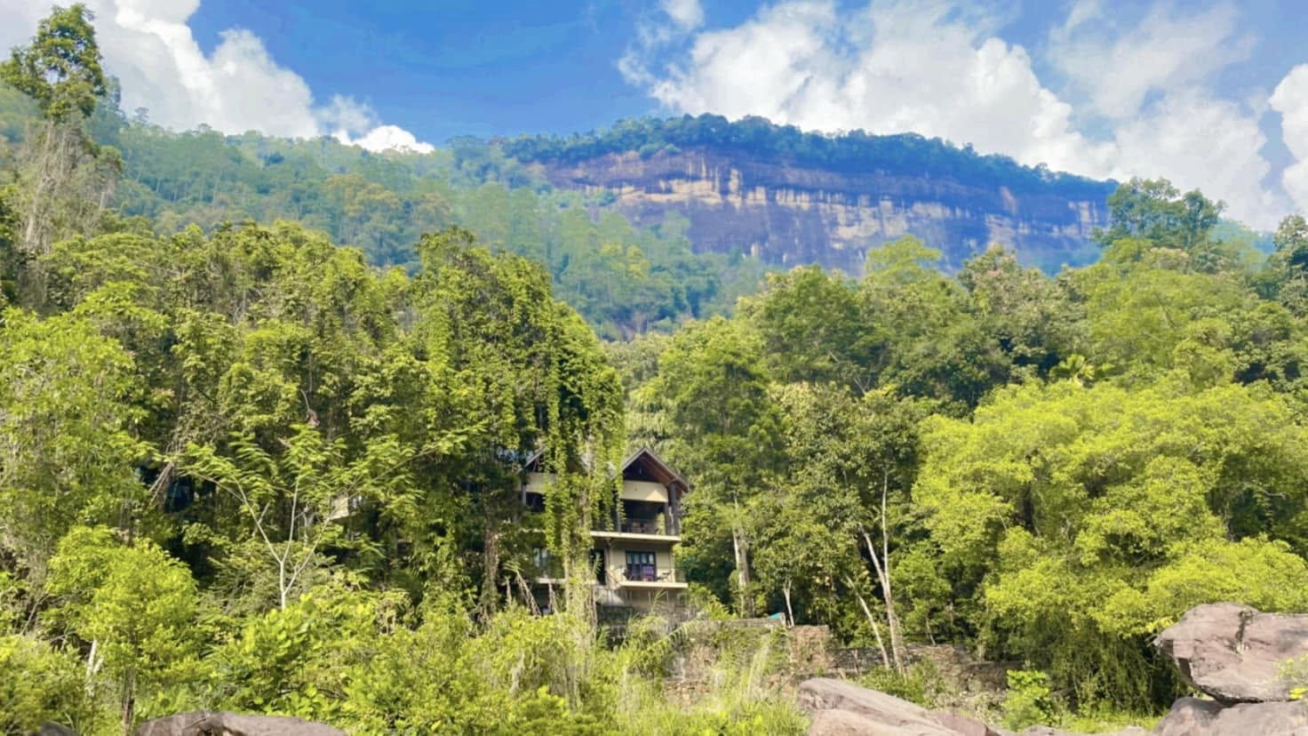 Forest Shade Eco Resort