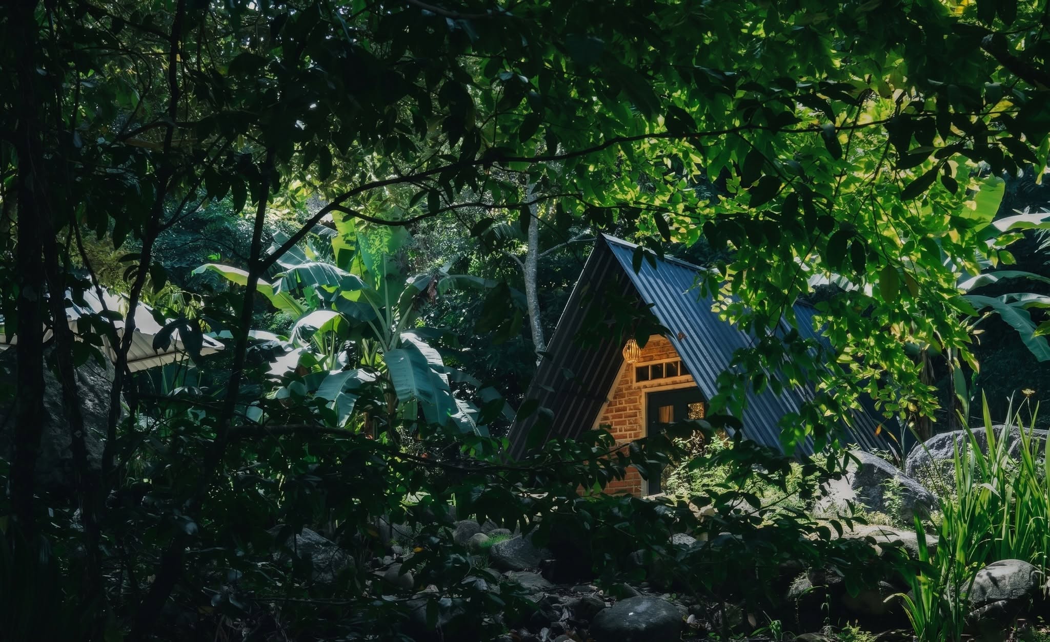 Black Hut Eco Resort Belihuloya