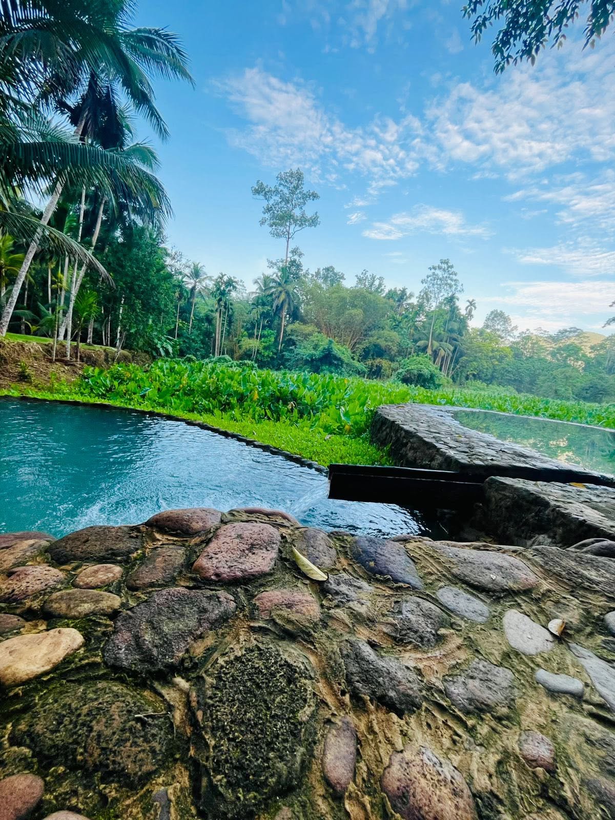 Villa Springwater Dellawa - Sinharaja Hidden Escape